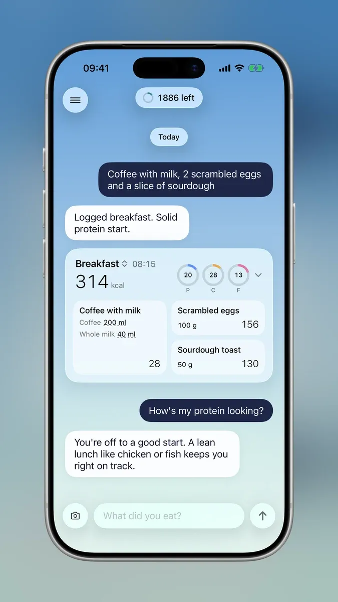 The Fabee chat: How is my protein looking, and the reply under a logged breakfast