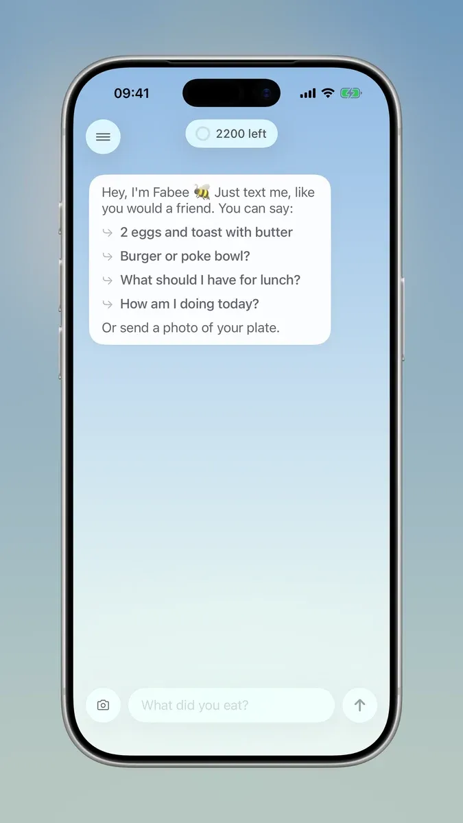 The first chat: Hey, I am Fabee, with four things you can say