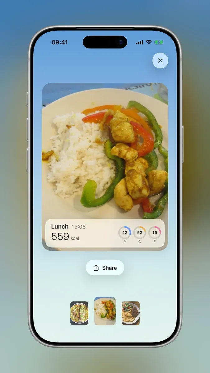 A lunch photo seen big in Fabee, 559 kcal, with the Share button under it