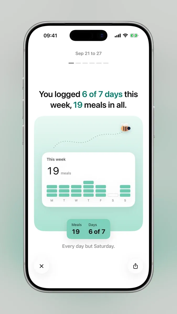 The weekly recap: 6 of 7 days logged, 19 meals in all